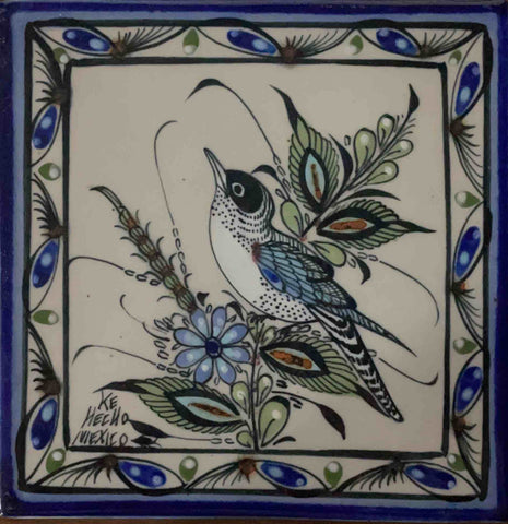 KEN EDWARDS COLLECTION - AVES CURIOSOS 6X6