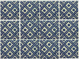 blue and white Mexican pool tile