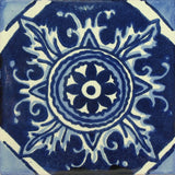 Traditional Spanish Tile - Boca De Dragon