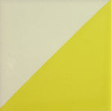 Especial ceramic Decorative Mexican Tile - Arlequin amarillo